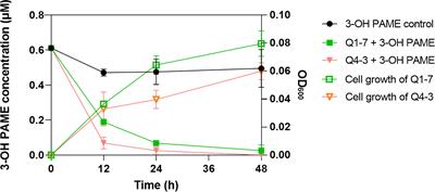 Pseudomonas forestsoilum sp. nov. and P. tohonis biocontrol bacterial wilt by quenching 3-hydroxypalmitic acid methyl ester